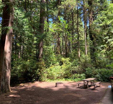 THE 10+ BEST Campgrounds near FLORENCE, OR